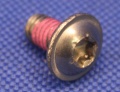 Linsenschraube M6x12 Torx Edelstahl