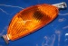 Blinker R1100RT R850RT v.re.gelb +R1150RT R1200CL